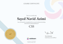 Preview thumbnail for CSS certification
