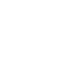 Cyborg Tech logo